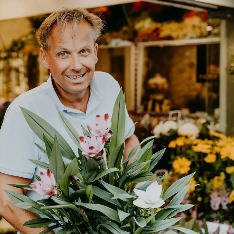 Blumen aus Holland Richard