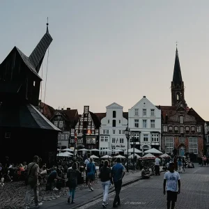 Stint Lüneburg