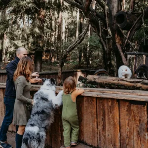 Wildpark Lüneburger Heide