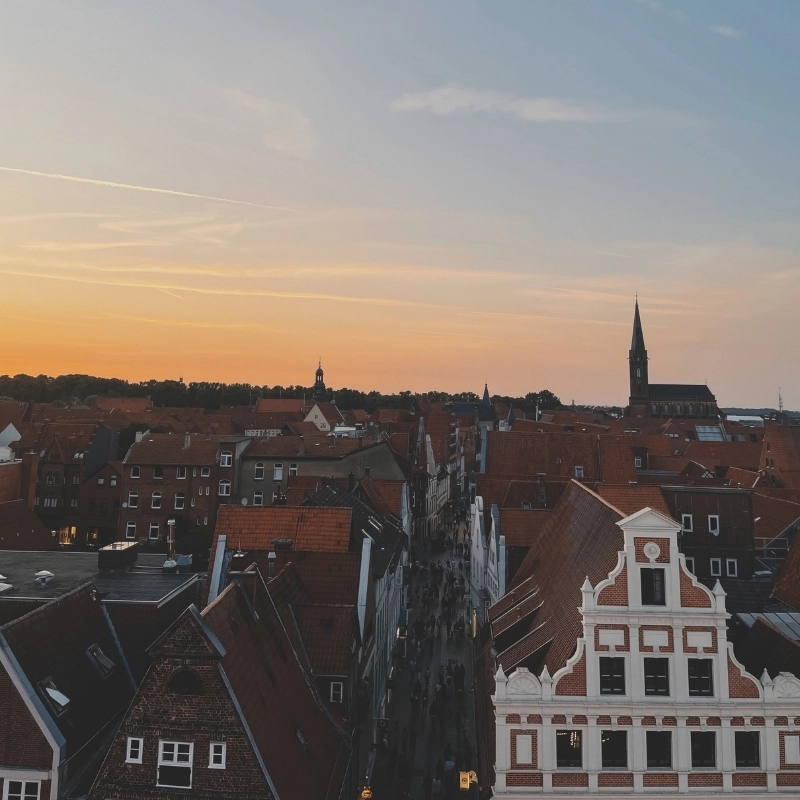 daecher lueneburg Kopie