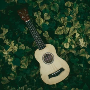 ukulele
